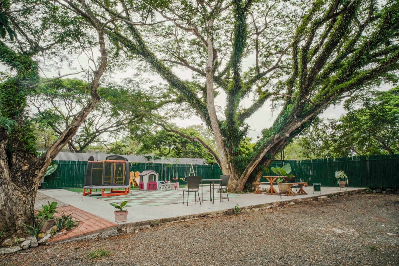The garden courtyard shaded by mature acacia trees