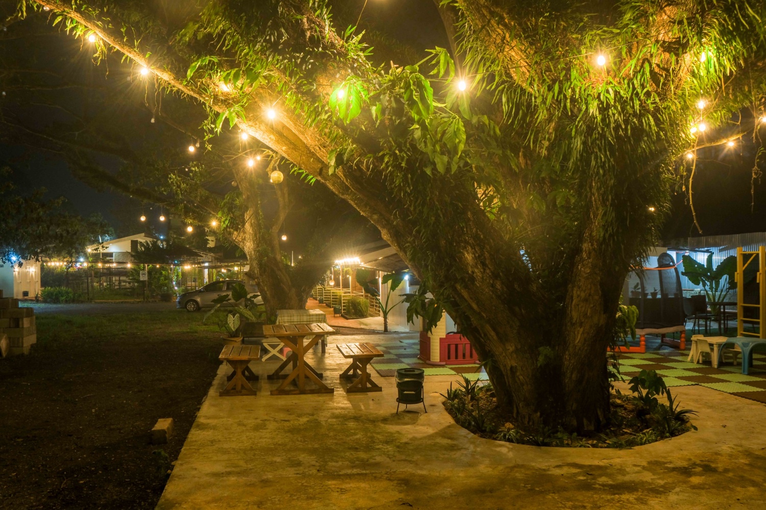 The garden at night, string lights warm in the trees